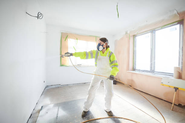 Best Mold Damage Restoration  in South Bend, IN