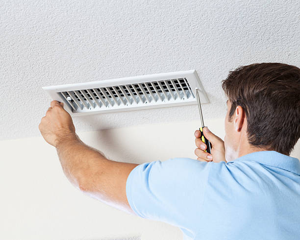 Best Asbestos and Lead Testing During Mold Inspection  in South Bend, IN