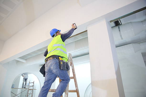 Best Basement Mold Removal  in South Bend, IN