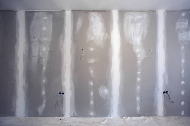 Best Mold Prevention Services  in South Bend, IN