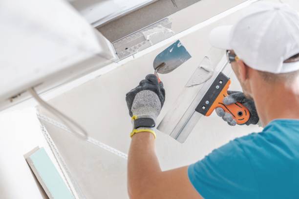 Best Air Quality Testing for Mold Spores  in South Bend, IN
